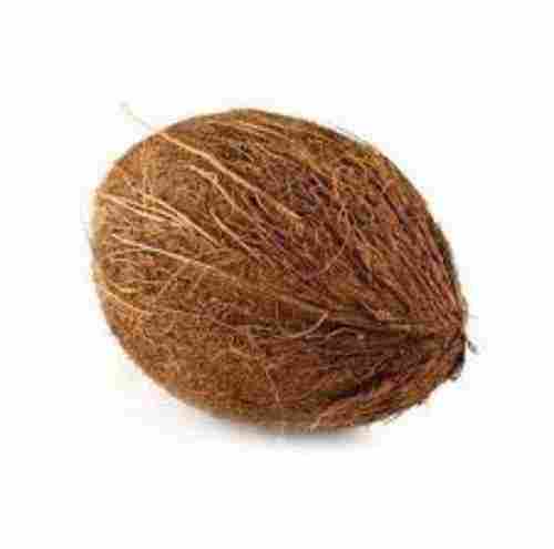 Good Taste Freshness Dry Coconut
