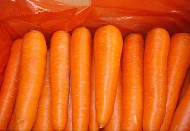Orange Color Fresh Carrot Preserving Compound: No