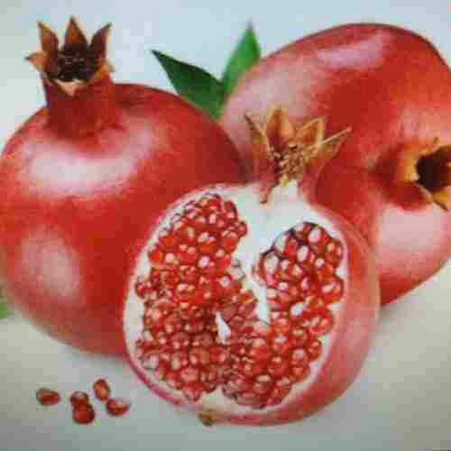 Organic Pomegranate Fruits 