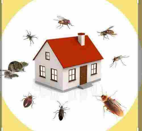 Pest Control Service 
