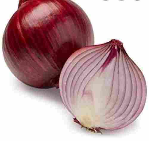 Good Purity Red Onion