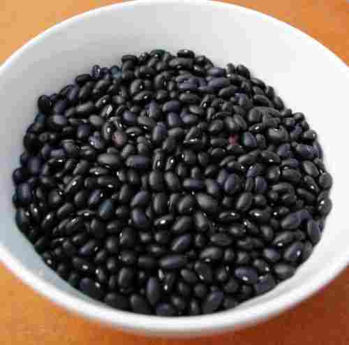Black Color Kidney Beans