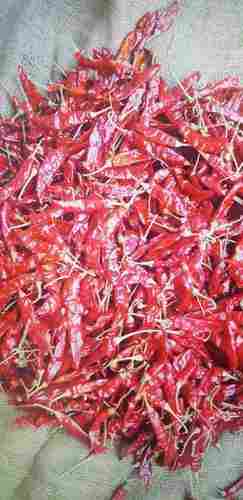 Fresh Dry Red Chilli