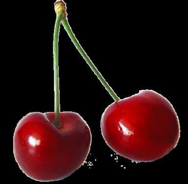Red Or Purple Color Externally Fresh Cherries