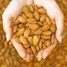 Dried California Almond Nuts