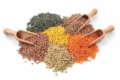 Export Quality Red Lentils