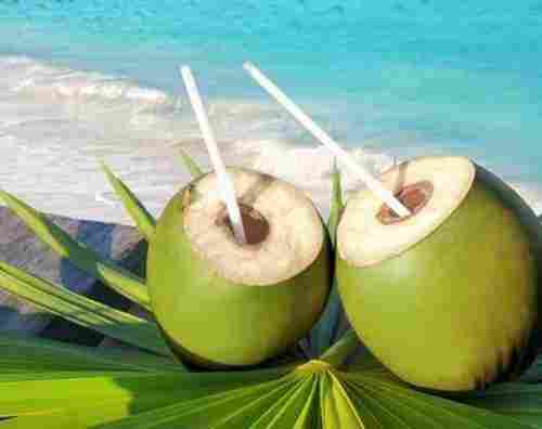 Green Coconut Water Drink