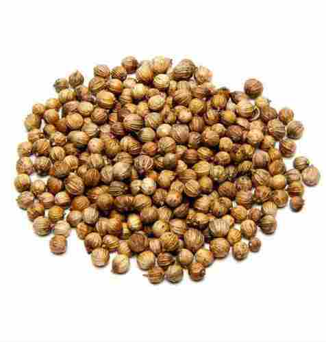 100% Pure Coriander Seeds