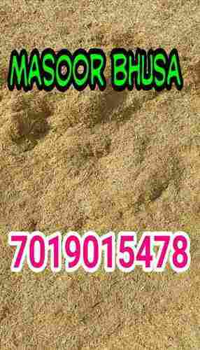 Masoor Husk (Bhusa) For Cattle Feed