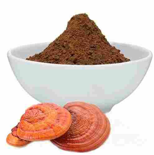 Reishi Mushroom Ganoderma Lucidum Extract