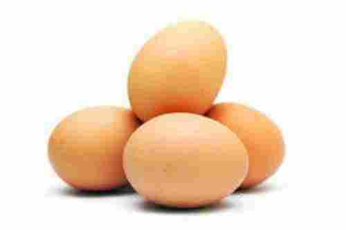 Pure Nati Koli Egg
