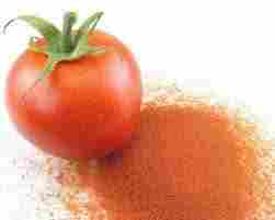 Tomato Powder Without Preservatives