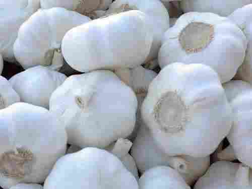 Good For Health Fresh White Garlic