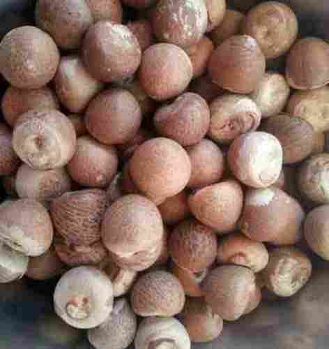 Unflavoured Brown Areca Nut