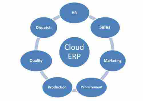 ERP Software Service Provider