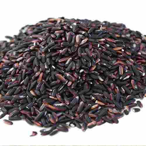 Richer Protein Black Rice