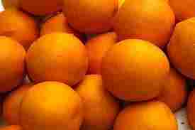 Fresh Juicy Tasty Oranges