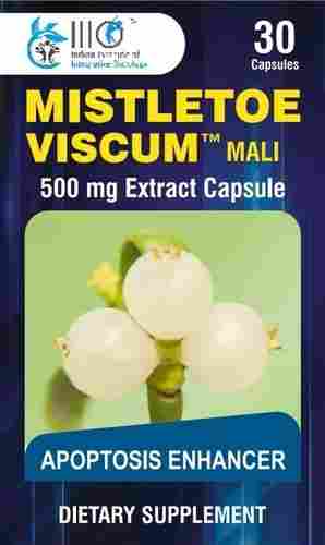 Mistletoe Viscum Mali Extract Capsules (250)