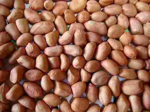Dried Peanut Kernels (Brown)