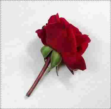 Red Rose 1.5 Inch Stem