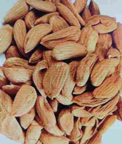 Export Quality Mamra Almonds
