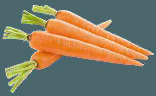 Export Quality Fresh Carrot
