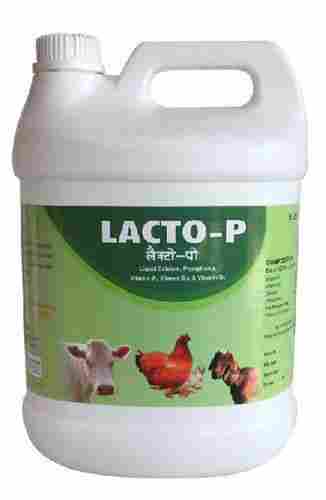 LACTO-P Cattle Feed Supplement
