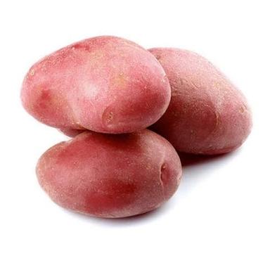 Excellent Taste Fresh Red Potatoes Moisture (%): 99