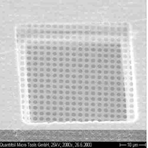 Circular Shape Quantifoil Holey Carbon Films (R1.2/1.3)