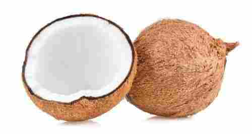 Solid Fresh Husked Coconut