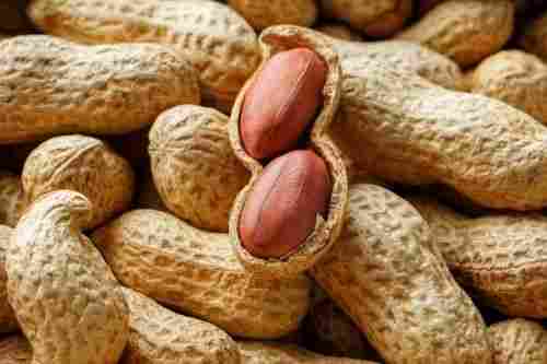 High Nutrients Shelled Peanut