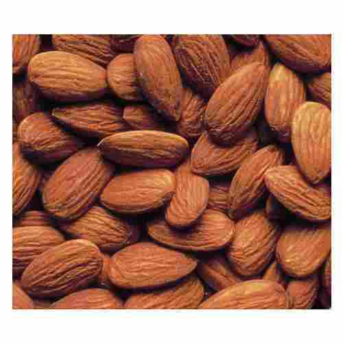 Highly Nutritious Almond Nut