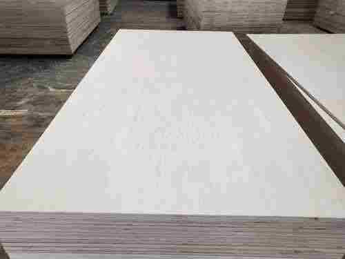 Poplar White Construction Plywood