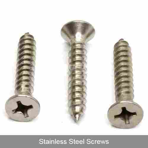 Stainless Steel Polished Screws