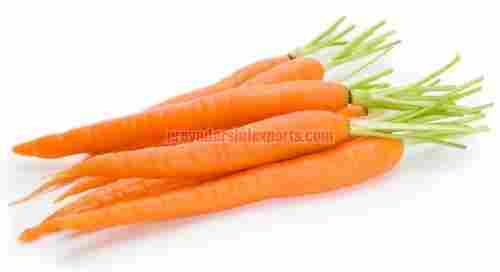 A Grade Fresh Carrot