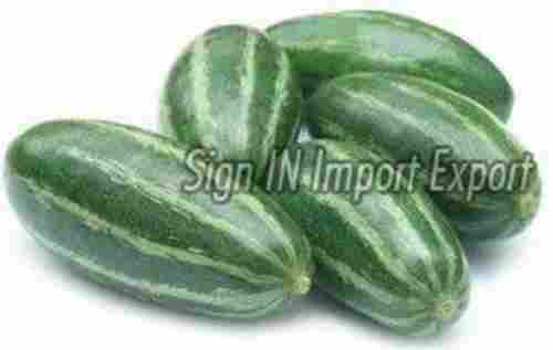 Natural Fresh Pointed Gourd