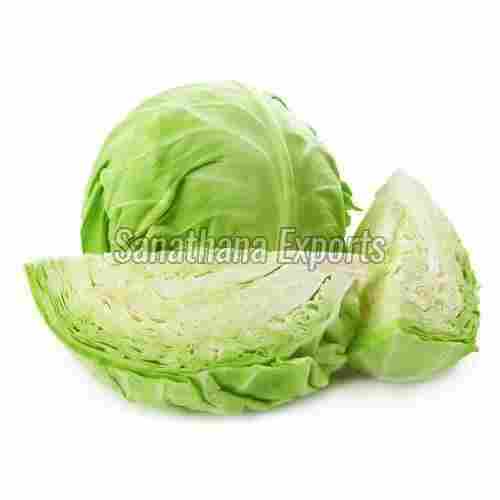 Pesticide Free Green Cabbage