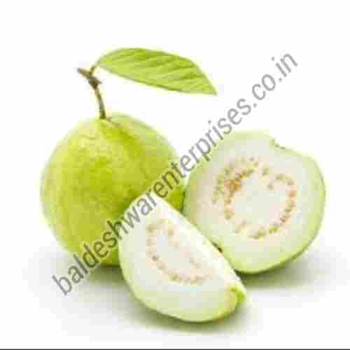 Fresh Quality Organic Guava