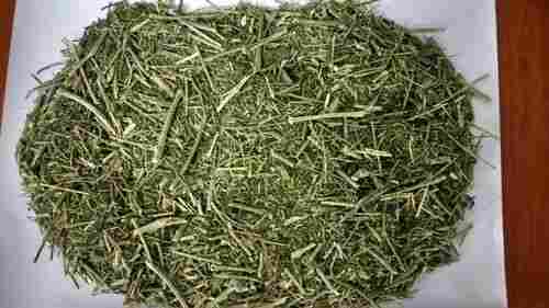 Andrographis Paniculata Nilavembu Herbal Powder