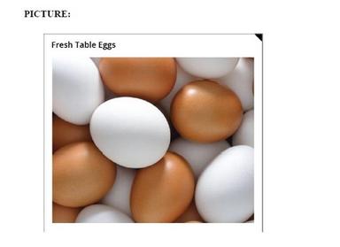 Protein Rich Good For Health Fresh Table Chicken Eggs Egg Size: Various