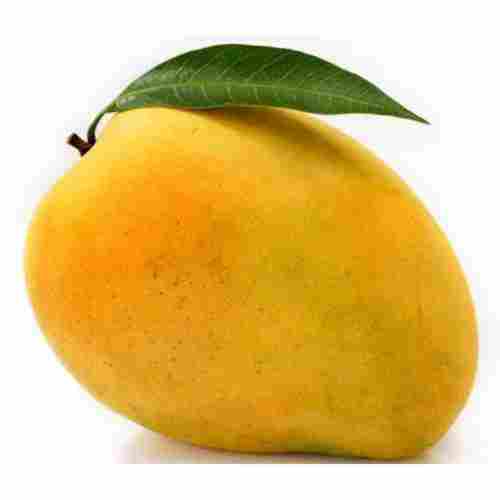 A Grade Yellow Fresh Mango