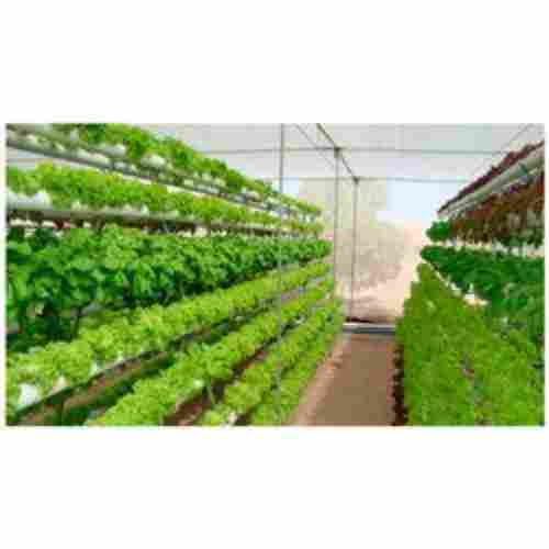 White Colour Hydroponic System