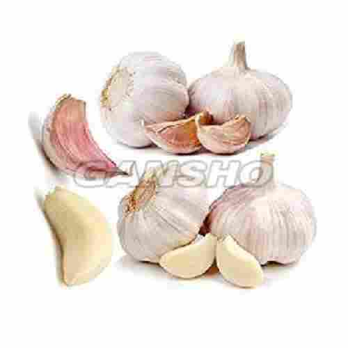 Poondu Fresh Hill Garlic
