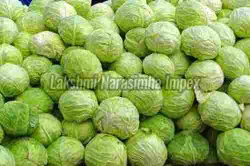 Fresh Green Cabbage for Cooking