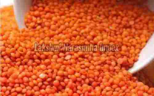 Red Lentils Pulses for Cooking