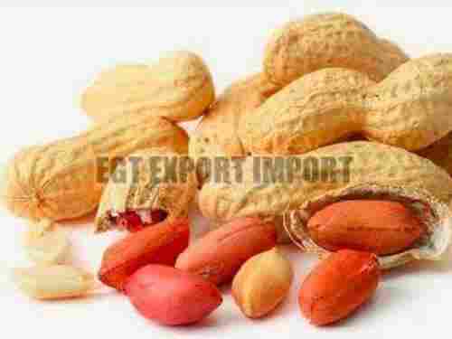 Healthy Raw Shelled Groundnuts