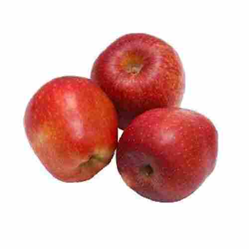Fresh Organic Apple Fruits