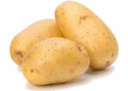 A Grade Fresh Potato for Cooking