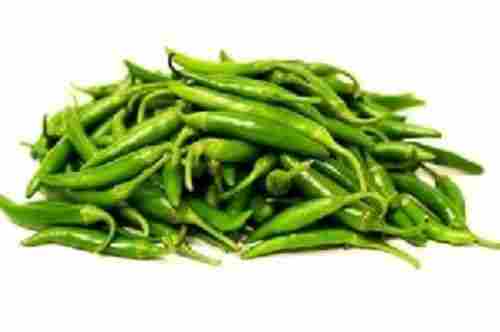 Fresh Green Chilli for Food
