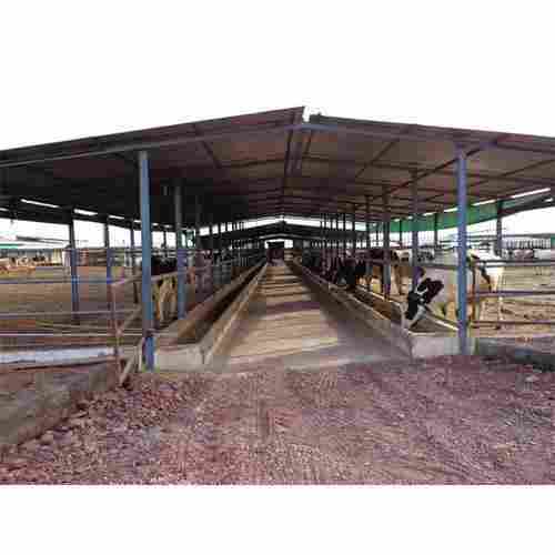 Steel Dairy Farm Shed